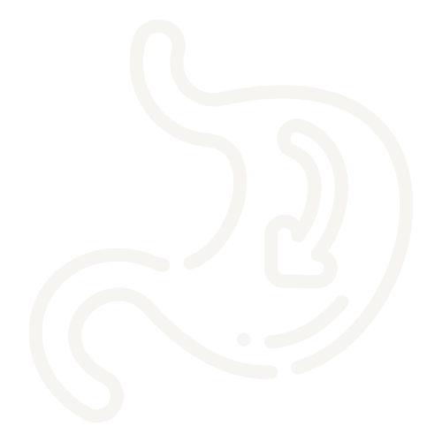 Icône illustrant la digestion et la tolérance digestive