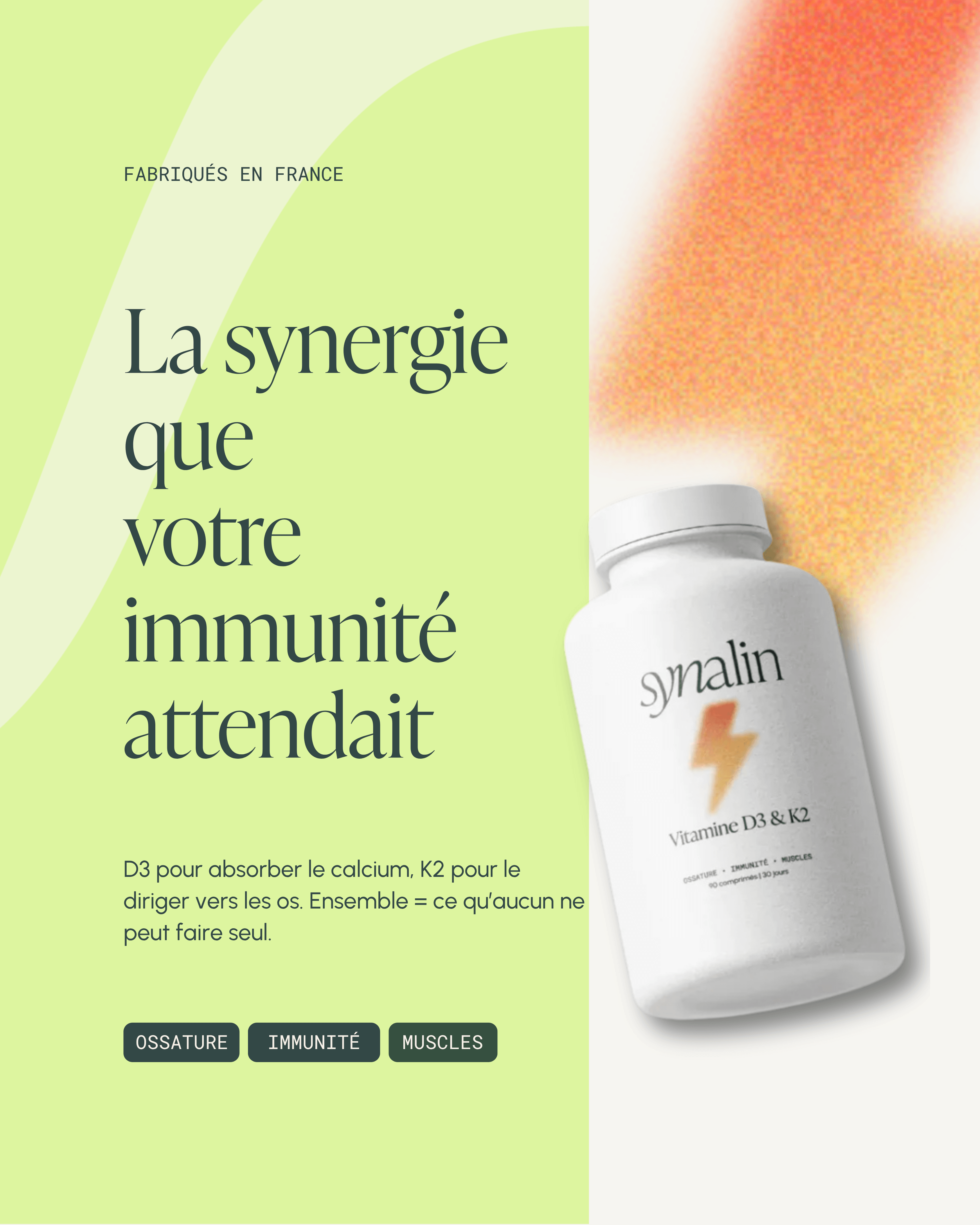 Complément Synalin vitamine D3 et K2 pour immunité, ossature et fonction musculaire